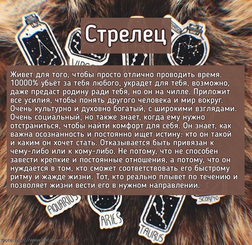 Скорпион это стрелец. Стрелец и весы картинки. Скорпион и стрелец. Лев и стрелец любовь. Стрелец и скорпион любовь.