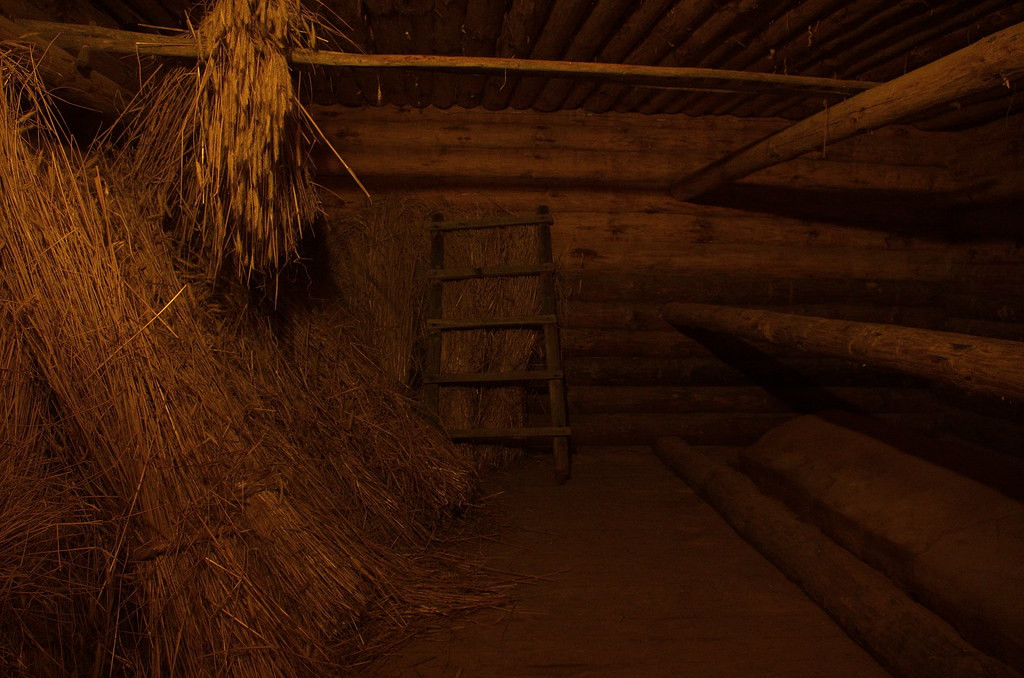 Гумно и рига что это. Рига снопы. Деревня рига сельга. Гумно овины. Рига амбар гумно хлев.