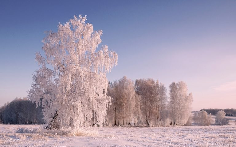 Какой будет погода в сентябре, подскажут приметы и поверья на 22 января