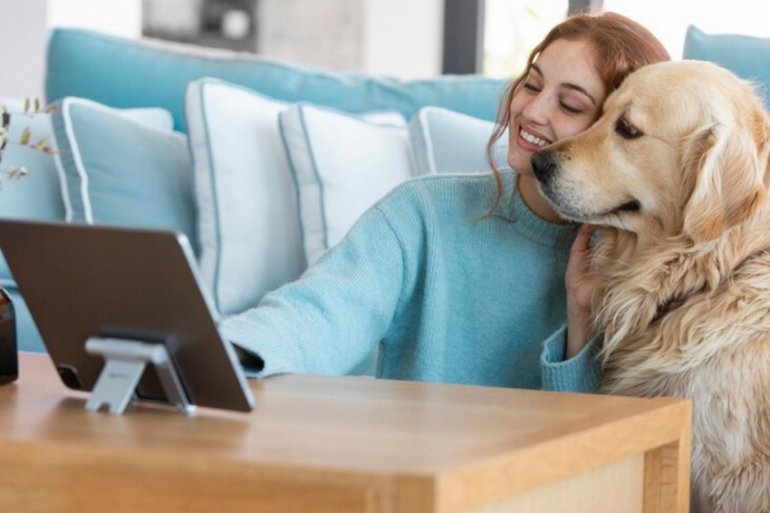 Ученые назвали любимый фильм всех собак