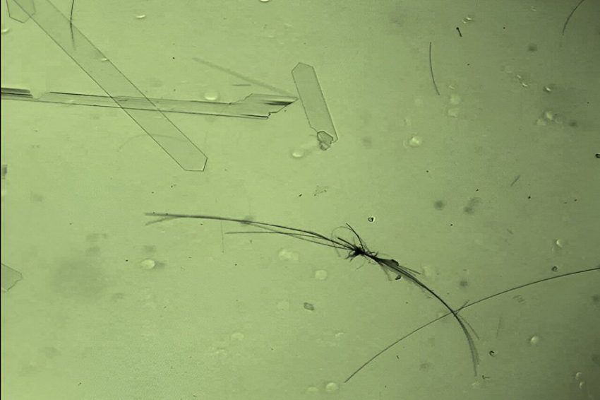 Молекулярно-кристаллические двигатели под воздействием света перемещаются, как микробы