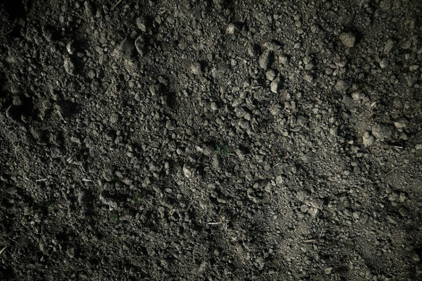 Новый метод раскрывает скрытую активность жизни под землей