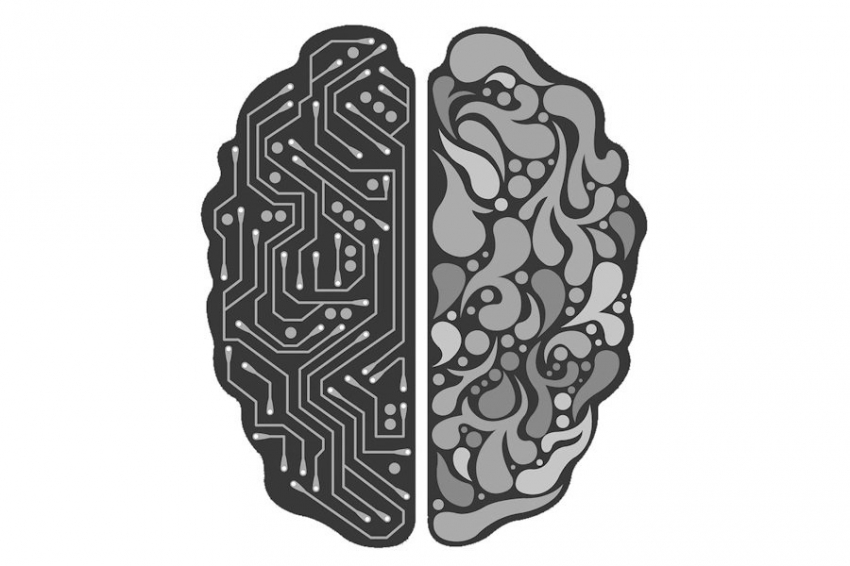 Tom's Hardware: новая онлайн-платформа дает доступ к "живым" мозгам