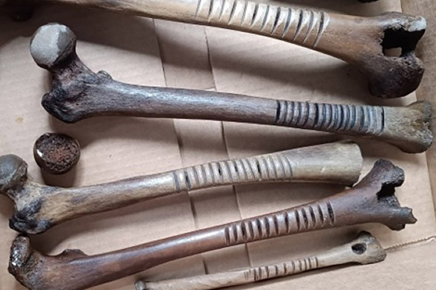 Загадочные кости с гравировкой обнаружены в Мексике