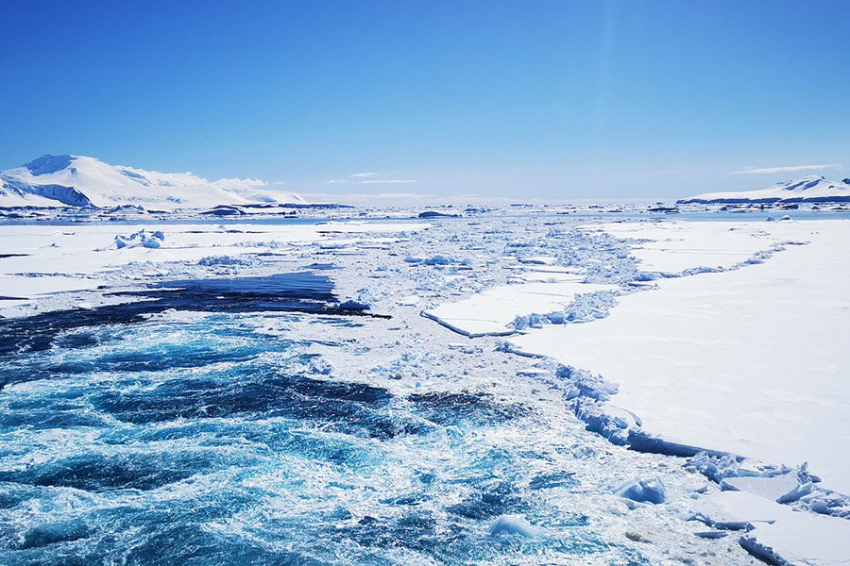 SA: ученые раскрыли секрет выживания антарктических червей в ледяной воде