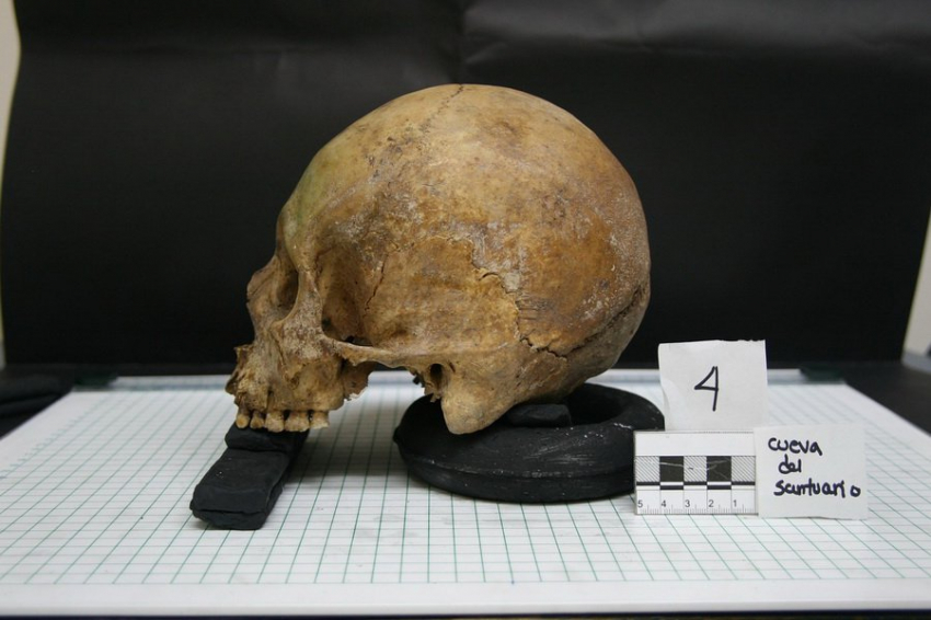 Антрополог Просикова рассказала об этапах восстановления внешности человека по черепу