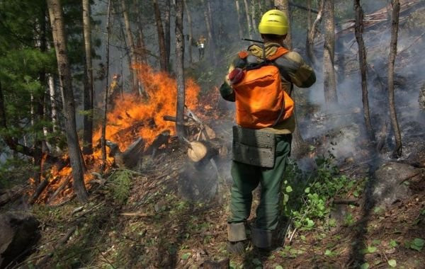 Лесные пожары в Якутии, последние новости на сегодня, 21 августа 2024: обстановка остается напряженной