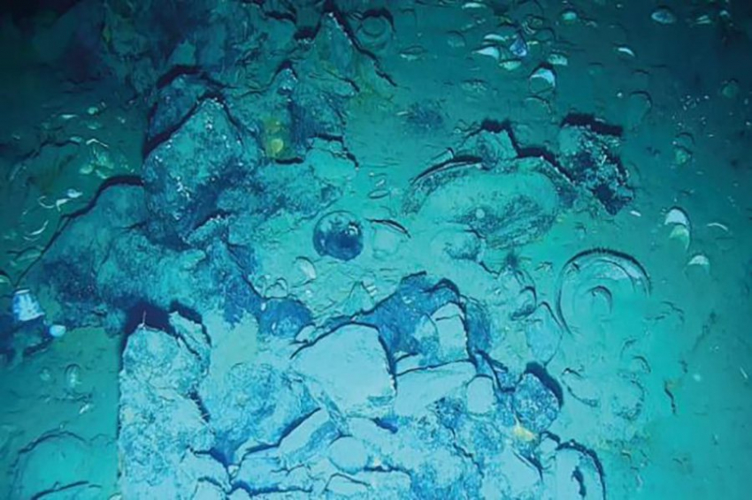 Еще больше артефактов обнаружены на «Святом Граале» кораблекрушений 