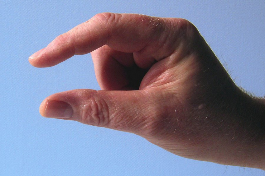 Ученый из Британии нашел самый древний на Земле половой орган