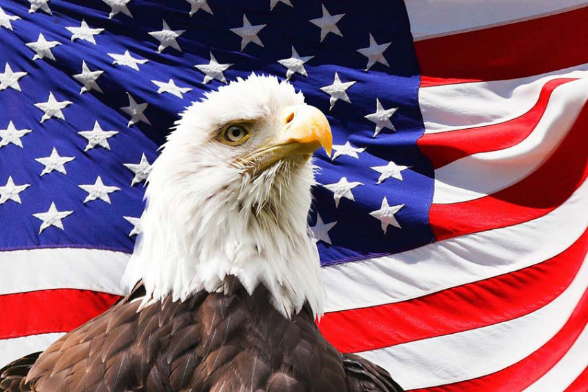 США признали, что разрешили ВСУ использовать свое оружие в Курской области