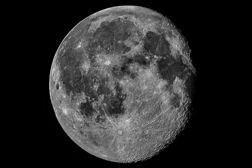 Ученые предлагают заморозить клетки исчезающих животных и сохранить их на Луне