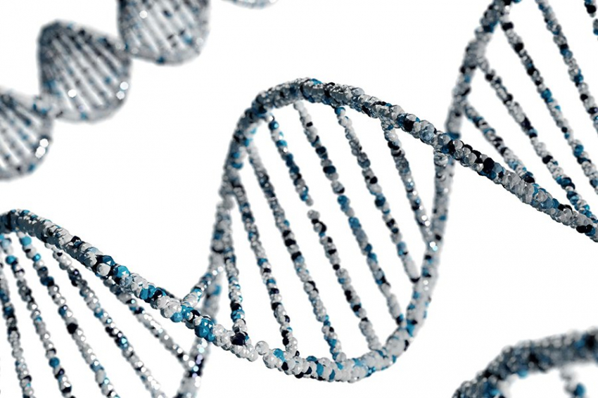 Ученые определили новый генетический вариант, связанный с умственной отсталостью