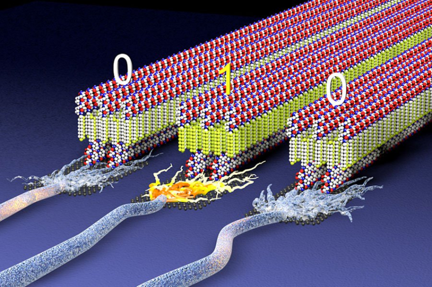 «Электрический пластик» улучшает имплантаты и носимые технологии