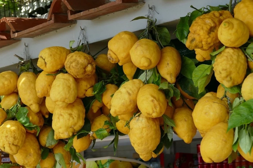 Ученые раскрыли новый потенциал витамина C в онкологии