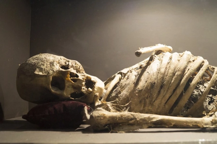 Тайны элитных захоронений Перу: что рассказала ДНК