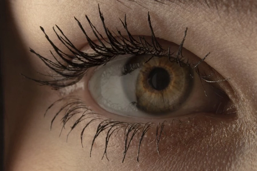 Размер зрачка во сне показывает, как обрабатываются воспоминания