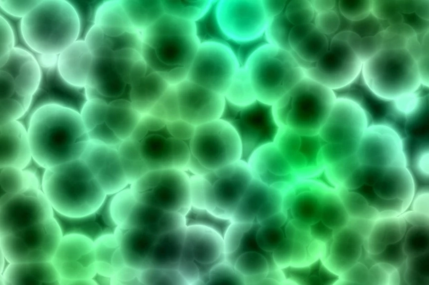 Исследование показало, что у 42% бактерий отсутствуют геномные данные