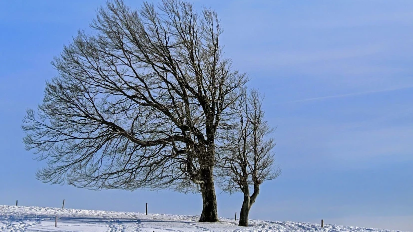 Приметы и поверья на 15 марта расскажут, как в старину День Федота проводили