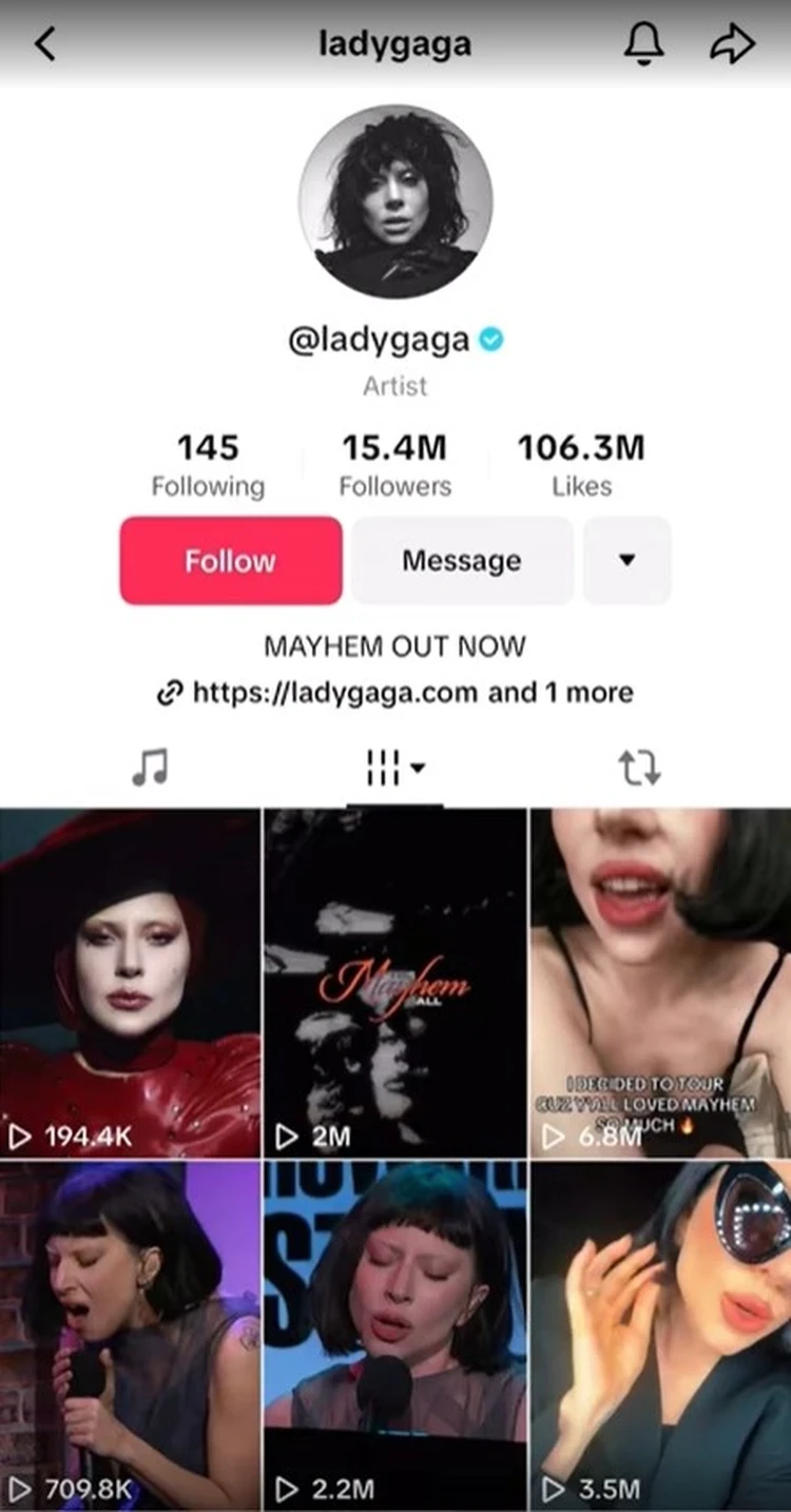 Леди Гага поделилась в соцсетях выступлением Далматина из российского шоу «Маска»