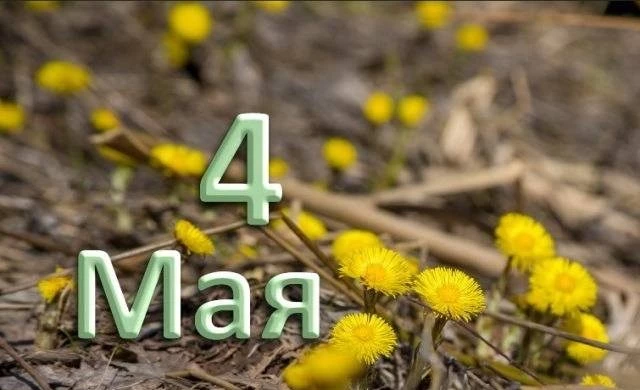 Какие праздники отмечают 4 мая 2025 года в разных странах мира