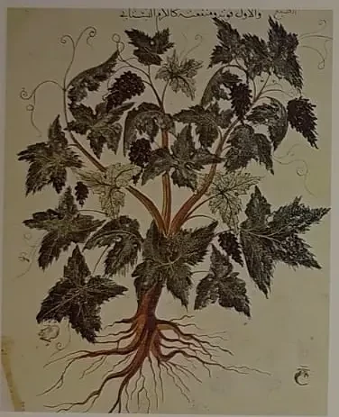 Византия: пьянство и бой