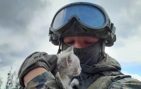 Когда может закончиться СВО: свежие прогнозы и комментарии на сегодняшний день, 02.08.2025